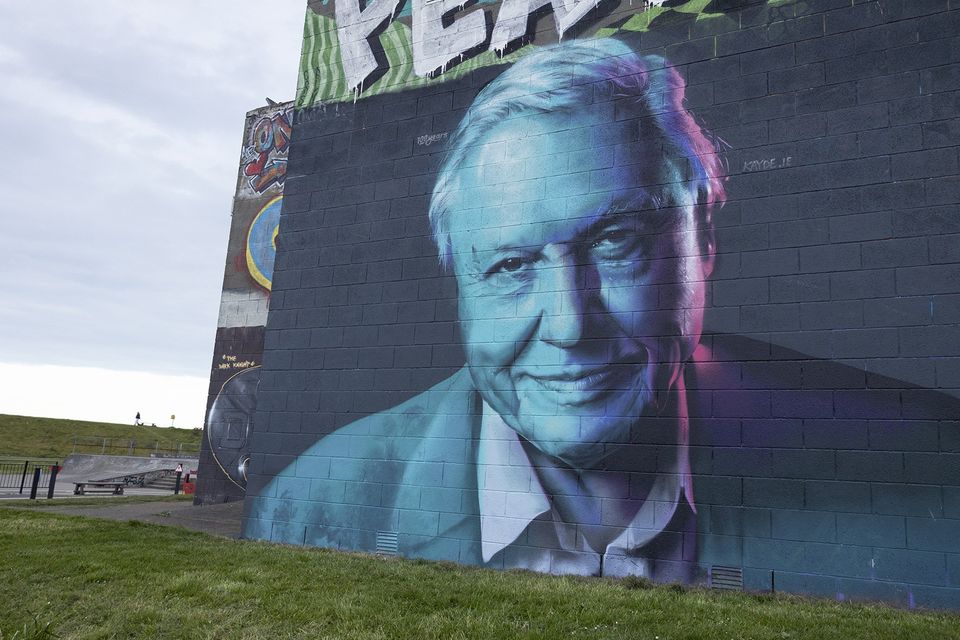 The David Attenborough mural, by artist Kayde, which was unveiled in Arklow to mark the veteran broadcaster's 100th birthday.
